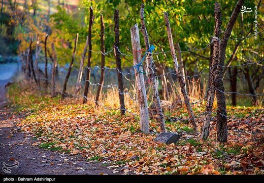 باغ‌شهر هیر در فصل رنگ‌ها