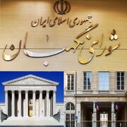 آمریکا، فرانسه و ژاپن هم شورای نگهبان دارند؟