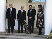 عکس | دونالد ترامپ و عالی‌ترین مقامات دولتش در مراسم تجلیل از سگی که بغدادی را به دام انداخت!
