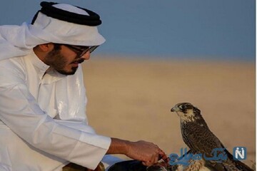 برادر امیر قطر در جزیره ابوموسی مشغول شکار پرنده