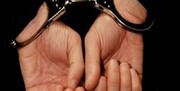 بازداشت یک مدیر سابق در مجموعه هلال احمر