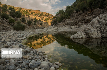 زنان چشمه