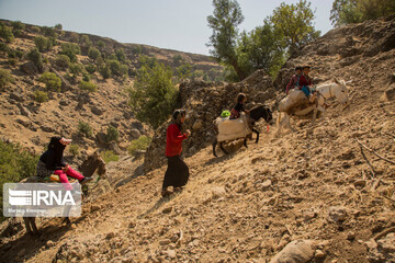 زنان چشمه