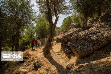 زنان چشمه