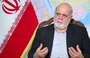 واکنش سفیر ایران در عراق به حادثه نجف