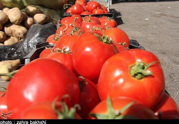 قیمت عمده فروشی انواع میوه اعلام شد/ گوجه ۹ هزار تومان+ جدول