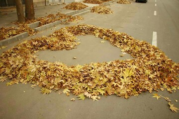 هنرنمایی پاکبانان ارومیه‌ای با برگ‌های پاییزی / عکس