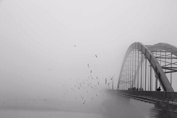 ببینید |  زیبایی کارون را در این تصویر ببینید