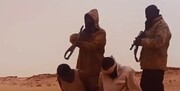 داعش زنده شد؛ فیلمی تازه از سربریدن های تازه!
