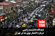 فیلم | نظر دانشمند ژاپنی درباره منشاء بوی بد تهران!