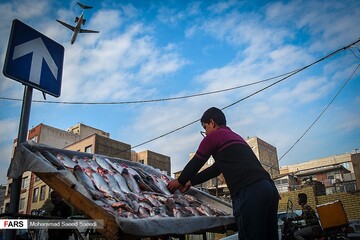 روز جهانی« هواپیمایی »