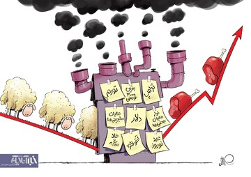 چرا گوشت ارزون نمی‌شه؟! 