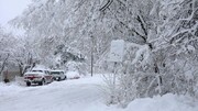 کشف جسد,