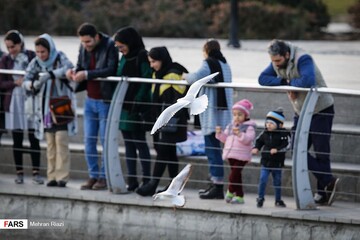 تهران؛ میزبان «پرندگان سیبری»