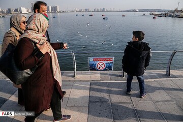 تهران؛ میزبان «پرندگان سیبری»