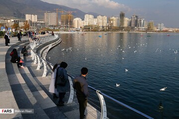 تهران؛ میزبان «پرندگان سیبری»