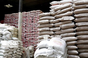 بازار آماده ارزان شدن برنج؛ ترخیص ۵۶ هزار تن برنج از گمرک آغاز شد