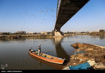 کارون میزبان پرندگان ماهی خوار - اهواز
