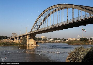 کارون میزبان پرندگان ماهی خوار - اهواز