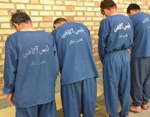 دایی و خواهرزاده سارق دستگیر شدند