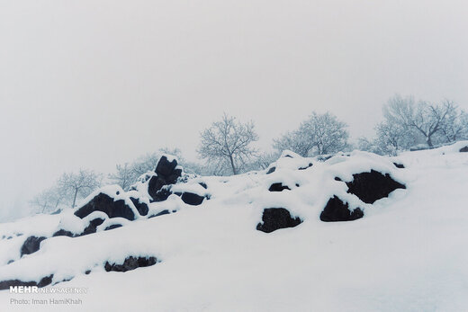 طبیعت زمستانی روستای سیلوار همدان