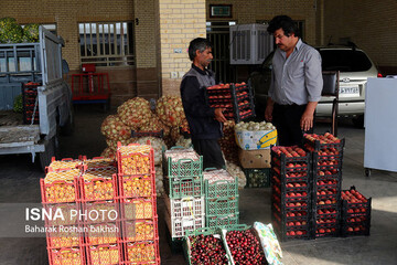 میدان میوه‌ و تره‌بار الغدیر اهواز تعطیل نمی‌شود / دلالان حذف می‌شوند