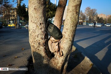 کارگران فصلی در «مشهد»