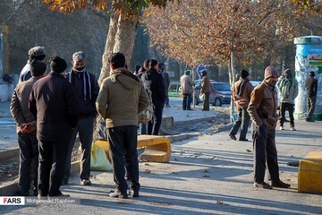 کارگران فصلی در «مشهد»