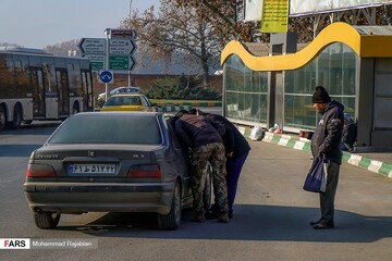 کارگران فصلی در «مشهد»