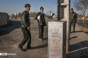 کارگران فصلی در «مشهد»
