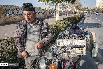 کارگران فصلی در «مشهد»