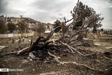 «تایْلِه»