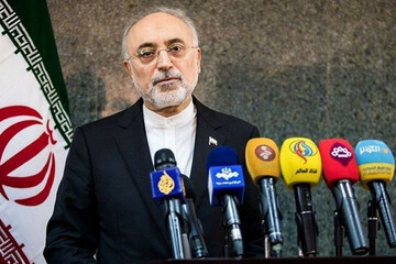 Nuclear chief: Iran not to hesitate to defend security