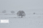 پیش‌بینی برف در برخی نقاط کردستان