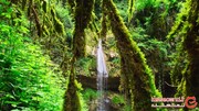 آبشار ولیلا، انتهای بهشت ایران در مازندران زیبا