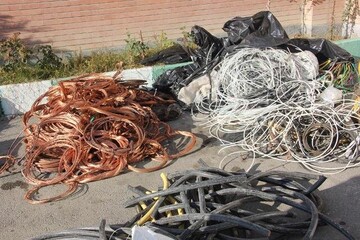 سارقان ویلاهای خالی در ساوجبلاغ به دام افتادند
