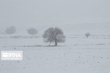 پیش‌بینی برف در برخی نقاط کردستان 