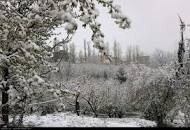 پیش‌بینی بارش برف و باران در البرز
