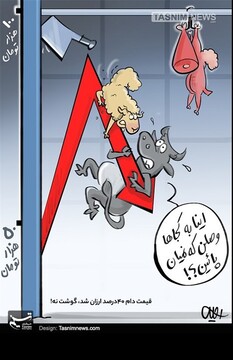 چرا گوشت ارزون نمی‌شه پس؟! 