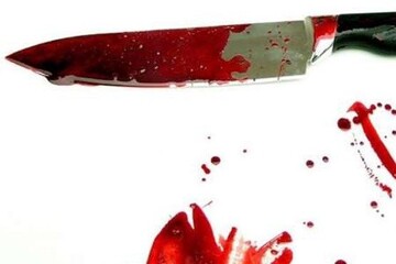 مرد  از بیمارستان روانی به خانه برگشت و همسرش را کشت