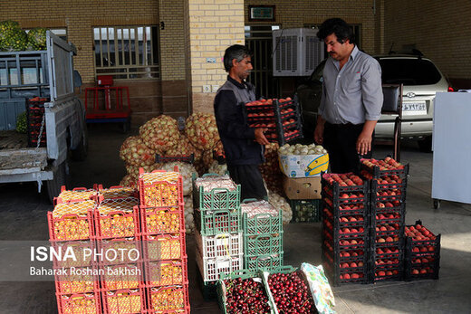 کدام میوه‌ها گرانتر شدند؟