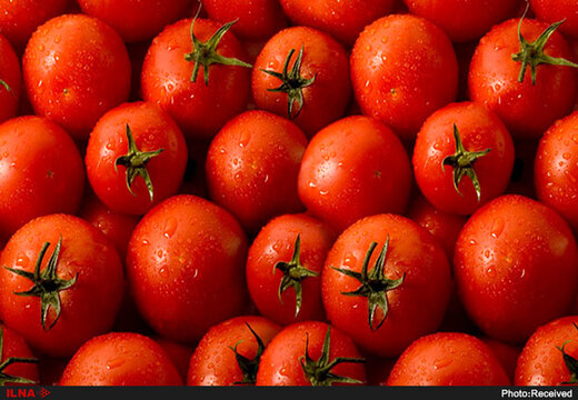 تورم برخی صیفی‌جات در آذرماه، سه رقمی شد/ گوجه ۱۷۰ درصد رشد قیمت