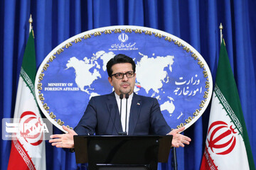 واکنش موسوی به اظهارات وزیر خارجه المان درباره شهادت سردار سلیمانی