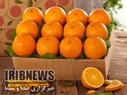 رازهای شگفت‌انگیز خوردن پرتقال در صبحانه