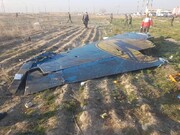 ۲ مسافر از اهالی گراش در بین کشته شدگان سانحه هوایی