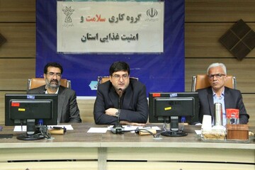 تحقق و فراگیری سلامت در جامعه نیازمند بسیج همگانی است 