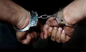 سارق سیم‌های کابل برق در مشگین‌شهر دستگیر شد

