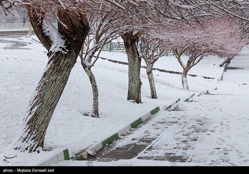 بارش برف در ارومیه