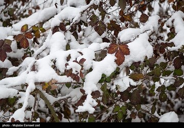 بارش برف در خراسان رضوی ظرف یک دهه اخیر بی‌سابقه است
