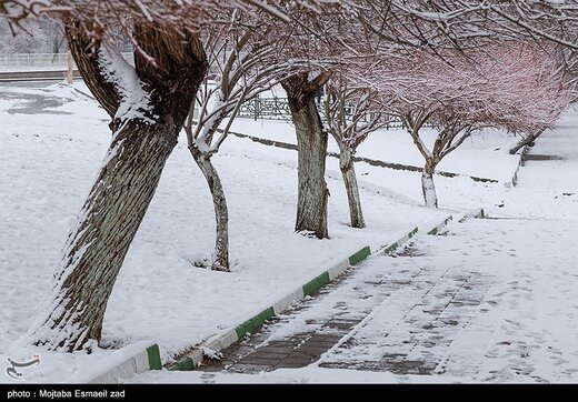 بارش برف در ارومیه